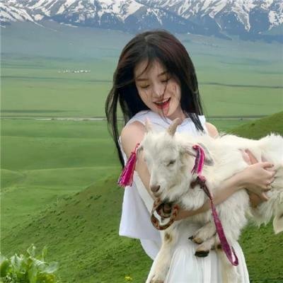 美国派：兄弟会